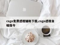 csgo免费透视辅助下载,csgo透视自瞄指令