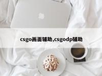 csgo画面辅助,csgodp辅助
