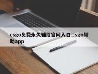 csgo免费永久辅助官网入口,csgo辅助app
