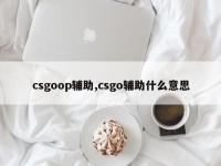 csgoop辅助,csgo辅助什么意思