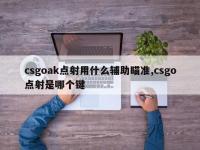 csgoak点射用什么辅助瞄准,csgo点射是哪个键
