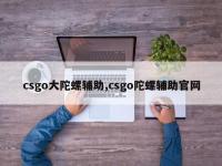 csgo大陀螺辅助,csgo陀螺辅助官网