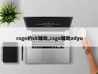 csgo的sk辅助,csgo辅助zdyu