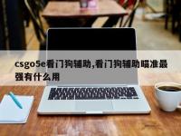 csgo5e看门狗辅助,看门狗辅助瞄准最强有什么用