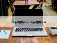 csgo辅助ace,csgo辅助aw