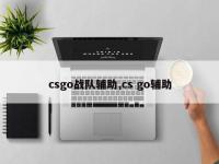 csgo战队辅助,cs go辅助