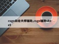 csgo白给大师辅助,csgo辅助skeet