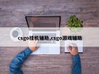 csgo挂机辅助,csgo游戏辅助