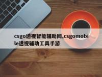 csgo透视智能辅助网,csgomobile透视辅助工具手游