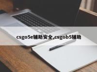csgo5e辅助安全,csgob5辅助