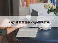 csgo辅助型选手,csgo辅助教学