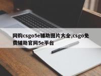 网购csgo5e辅助图片大全,csgo免费辅助官网5e平台