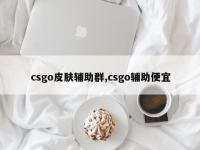 csgo皮肤辅助群,csgo辅助便宜