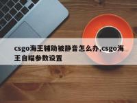 csgo海王辅助被静音怎么办,csgo海王自瞄参数设置