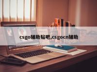 csgo辅助贴吧,csgocn辅助