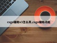 csgo辅助v3怎么弄,csgo辅助功能