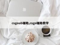 csgoub辅助,csgo辅助教学