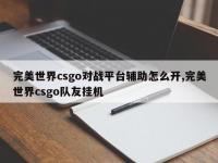 完美世界csgo对战平台辅助怎么开,完美世界csgo队友挂机