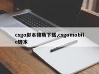 csgo脚本辅助下载,csgomobile脚本