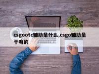 csgootc辅助是什么,csgo辅助是干嘛的
