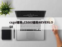 csgo辅助,CSGO辅助NEVERLOSE