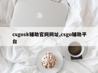 csgosk辅助官网网址,csgo辅助平台