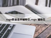 csgo职业选手辅助位,csgo 辅助位